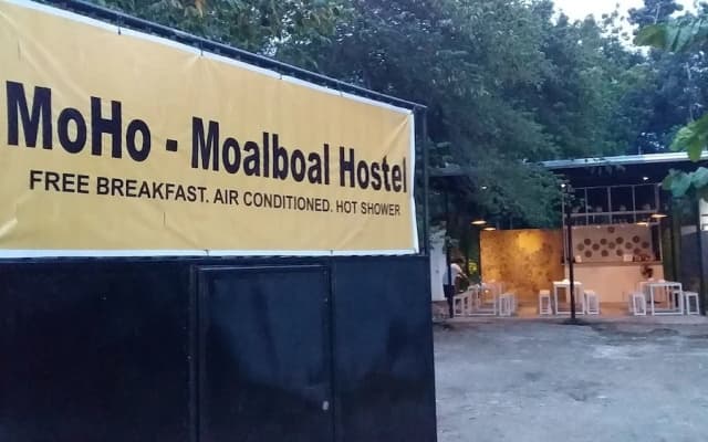 MoHo Moalboal Hostel