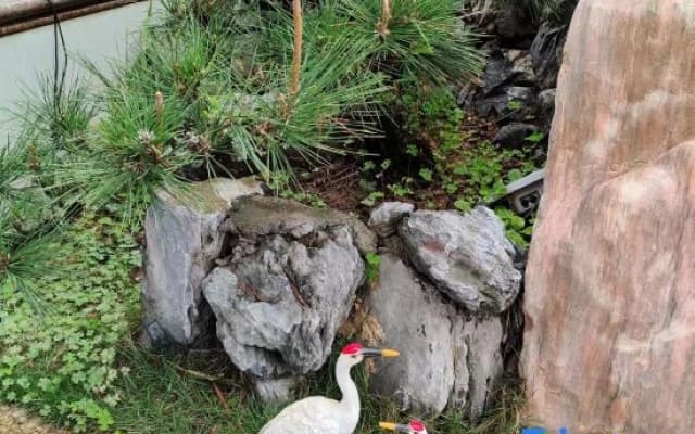 Lakeside Garden Hotel