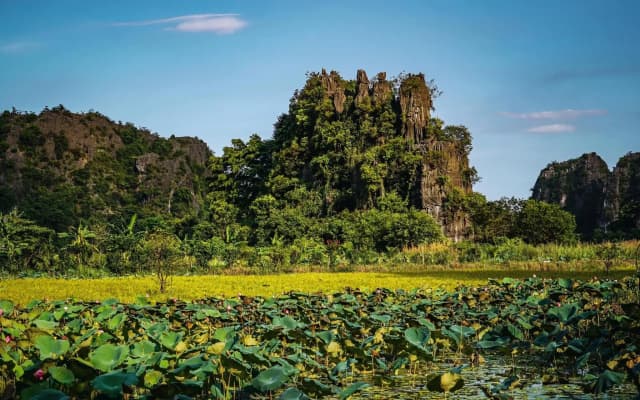 Cocoon Homestay Tam Coc