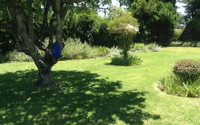 Clarens socialites, Thatch Cottage #1