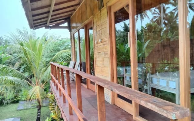Jungle House - surf & stay