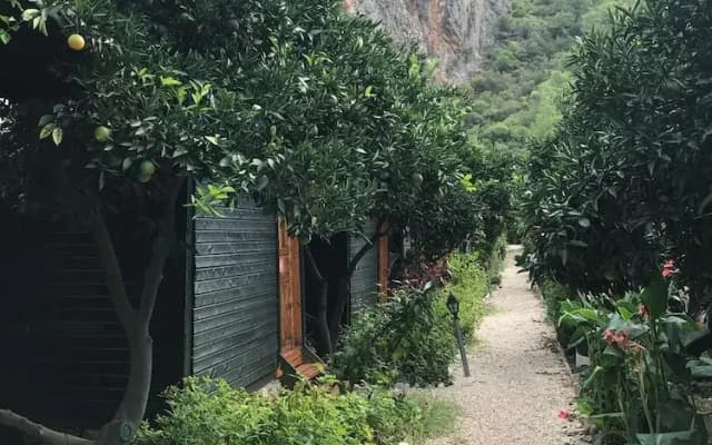 Olympos Yigit Pansiyon