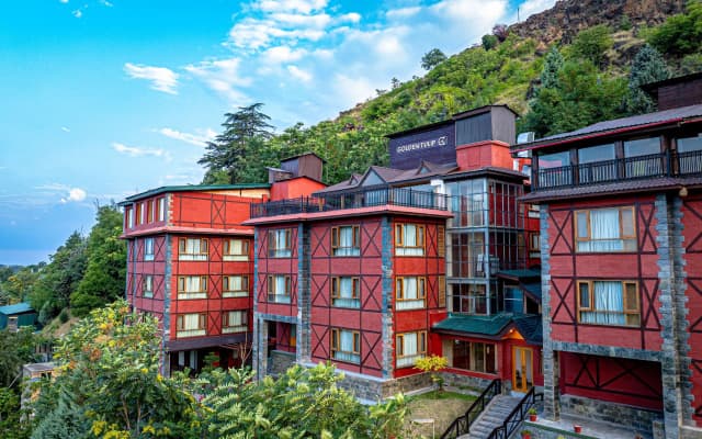 Golden Tulip