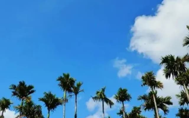 Sanya Light and Shadow Year-round Travel Rental (Yalong Bay Tropical Paradise Forest Park)
