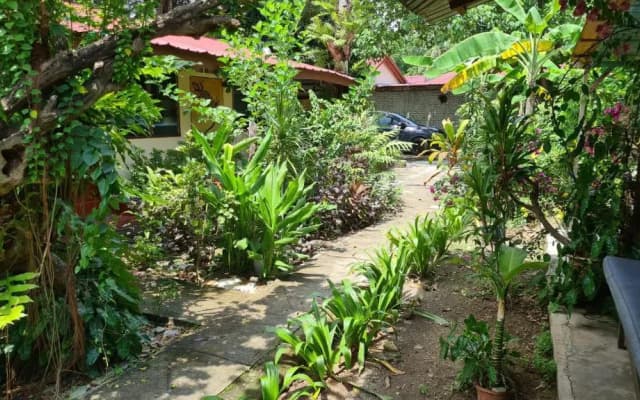 Gecko Guesthouse Langkawi