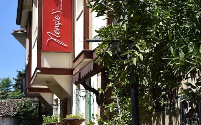Nensie'S Boutique Hotel