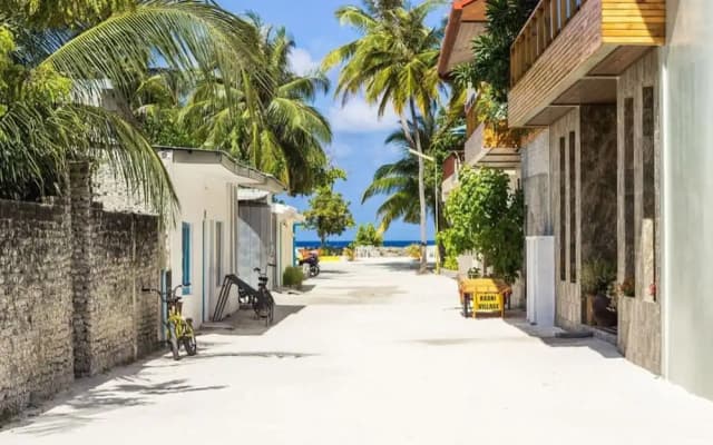Coconut Tree Hulhuvilla Beach