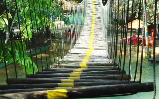 Parque Dos Igarapés