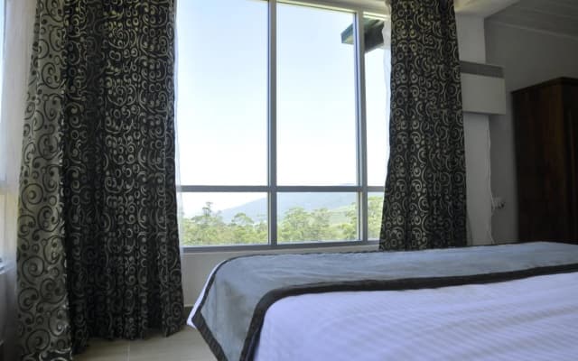 Forest View Lodge