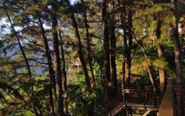 Pijar Resort