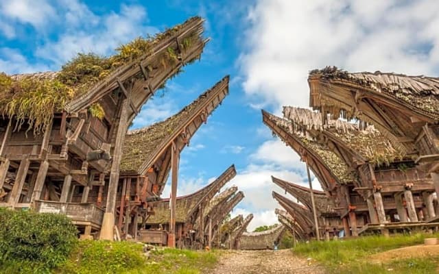 Sugi House Toraja - Villa Penginapan Sewa Harian