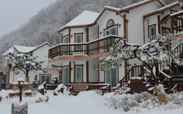 Forest of Color Pension