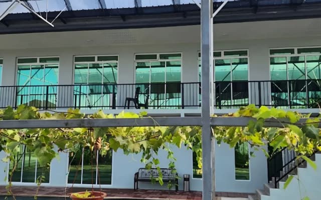 Grapevine Garden