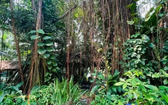 Seaview 2B1R 4pax Condo Forest City 4D-1809