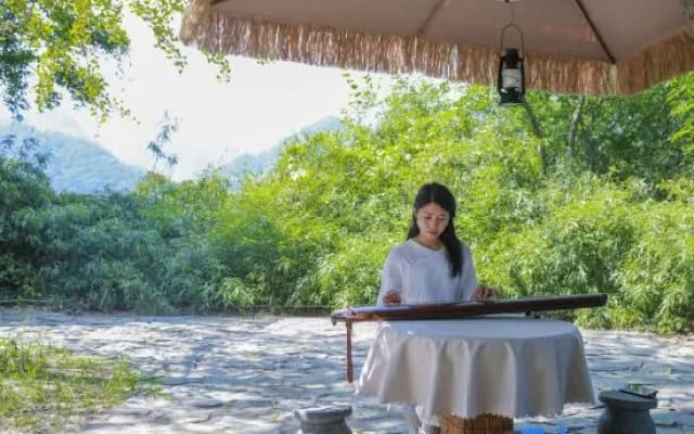 Wudang Chuxing homestay