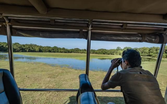 Leopard Trails Wilpattu