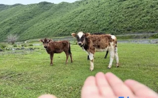 Jiuling shanJu Hotel, Xinduqiao, Kangding City