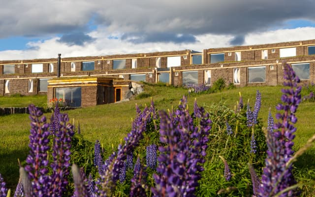 Altiplanico Puerto Natales