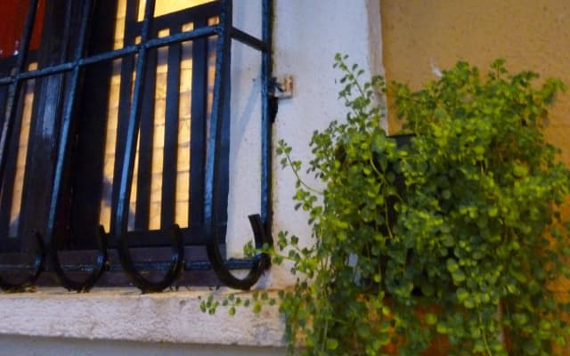 Afonso Guest House