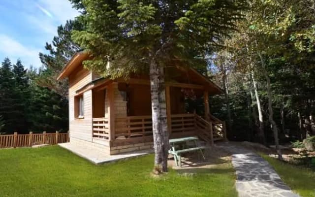Uludag Orman Koskleri Sarialan