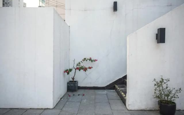 Hidden Garden International Youth Hostel - Oriental Pearl & Lujiazui