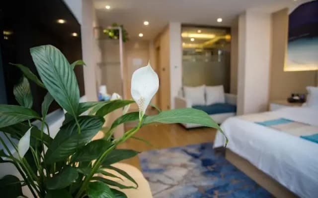 VX Heze Dingtao District Taoyi Road Hotel