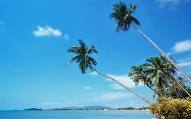 Scenery Samui