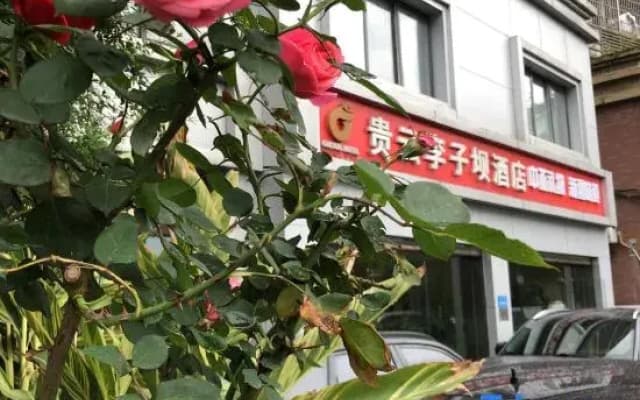 Chongqing Guiyun Liziba Hotel (Liziba Light Rail Station)