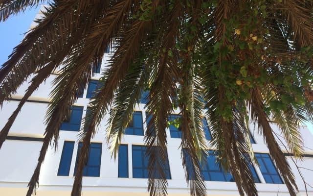 Aselia Hotel Trabzon