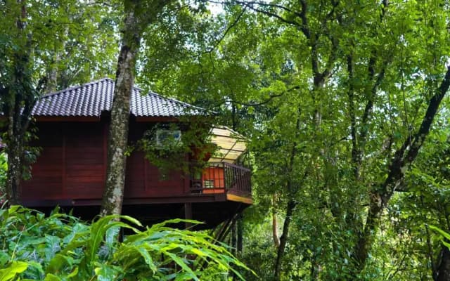 Indriya Resorts & Spa