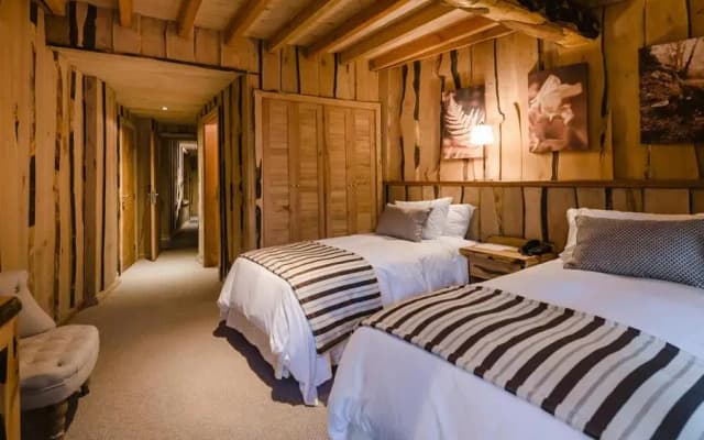 Reino Fungi