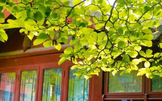 Floral Hotel·Zhu's Garden Holiday Hotel