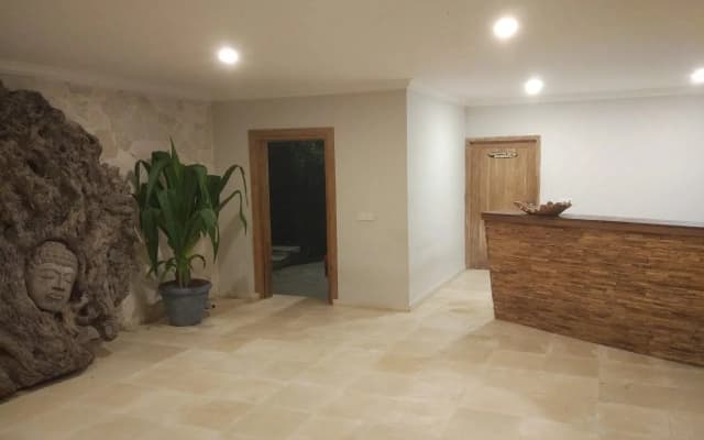 Coconut Lodge