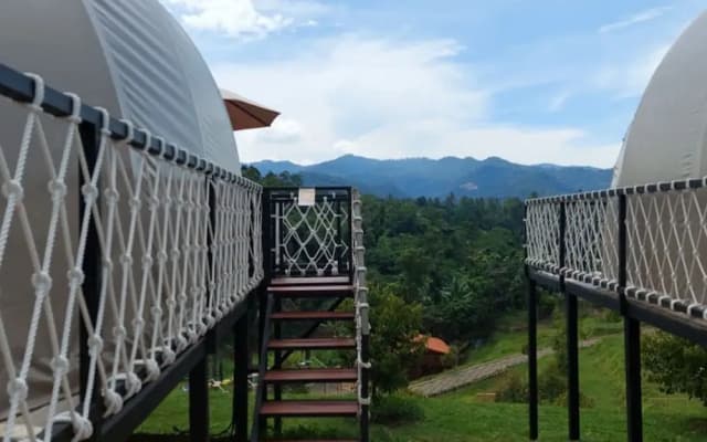 Dmangku Farm Mancak Serang
