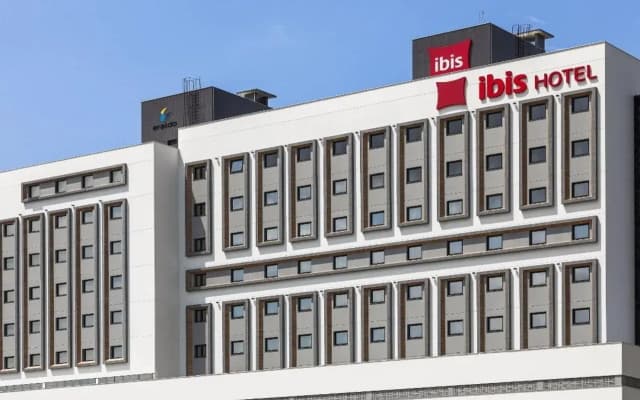 Ibis Tubarão