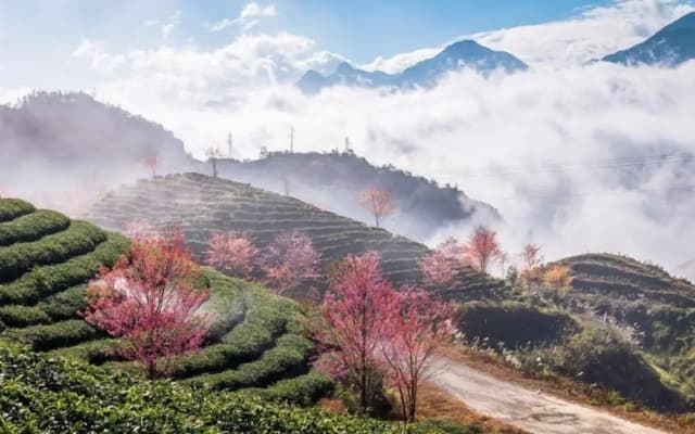 Sapa Dao Homestay