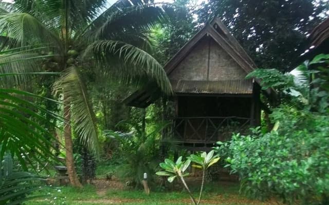 Bamboo House