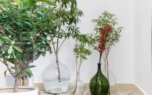 Sanya Dajishu Homestay (Haitang Bay Duty Free City Shop)