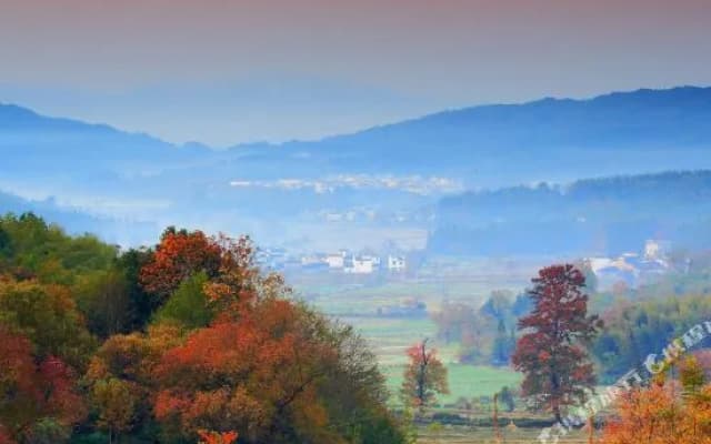 Huangshan Bed and Breakfast
