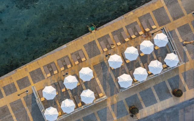 Rasim Palas (Adults Only +12)
