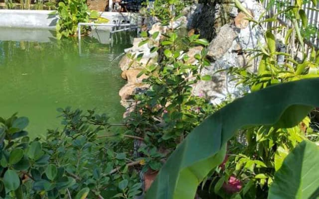 The Garden Resort