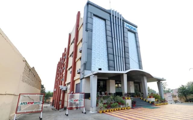 OYO 4839 Apex Hotel Baddi