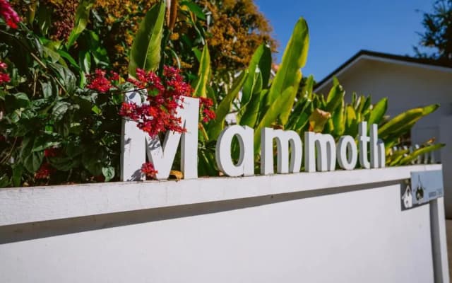 Mammoth Boutique Hotel