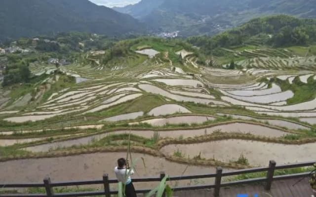 Yunhe Terraced Fields Homestay