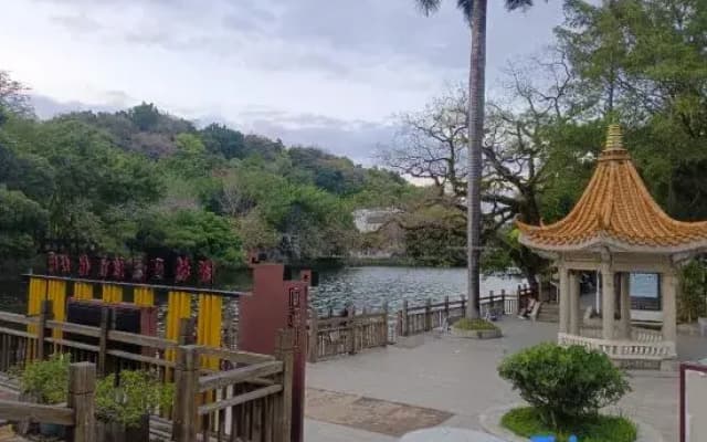 C hao zhou hu mei ren jia l n n