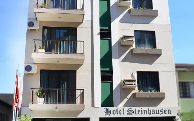 Hotel Steinhausen