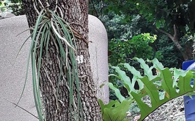 Baanrai Saiyoknoi Resort