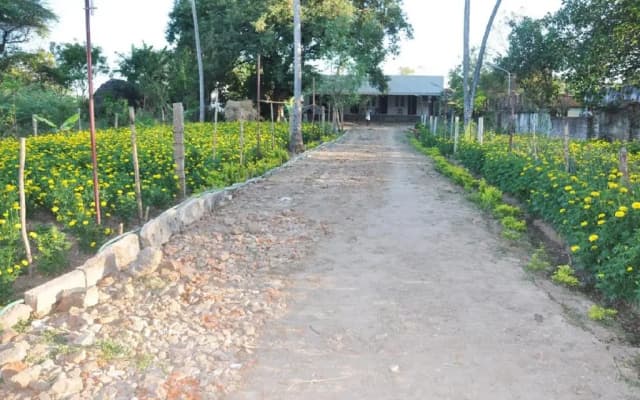As Garden