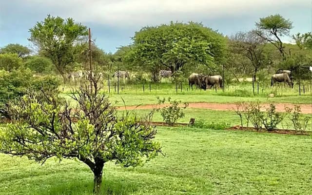 Tamboti Bush Lodge