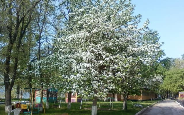 Волна